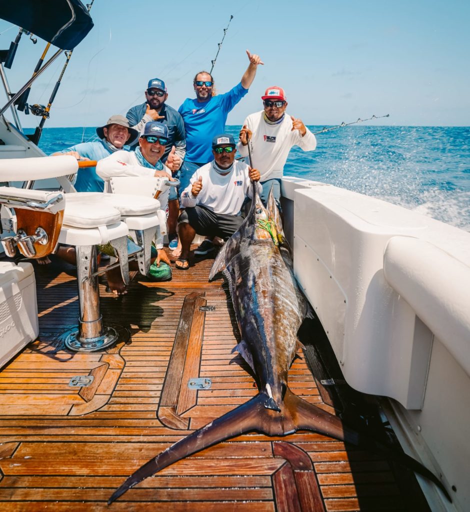 Sport Fishing In Cabo San Lucas Sport Fishing In Cabo San Lucas