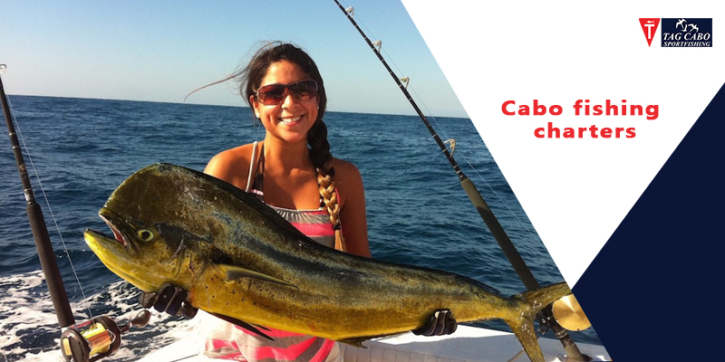 Cabo San Lucas Fishing – Best Fish Species to Catch in September 2021 1 Cabo San Lucas Fishing – Best Fish Species to Catch in September 2021