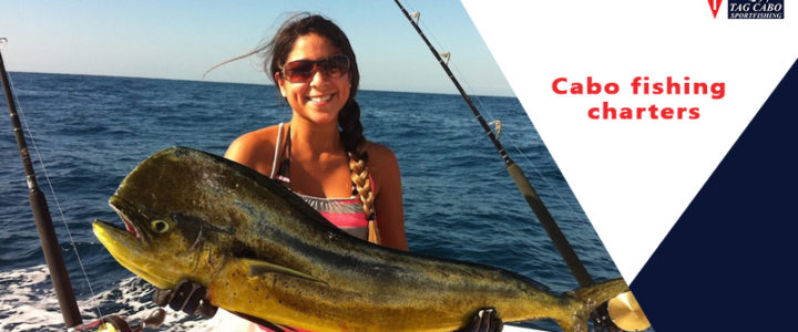 Cabo San Lucas Fishing – Best Fish Species to Catch in September 2021 Cabo San Lucas Fishing – Best Fish Species to Catch in September 2021