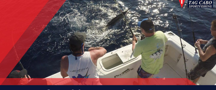 How to pick the best fishing spot with guided fishing trips? How to pick the best fishing spot with guided fishing trips?