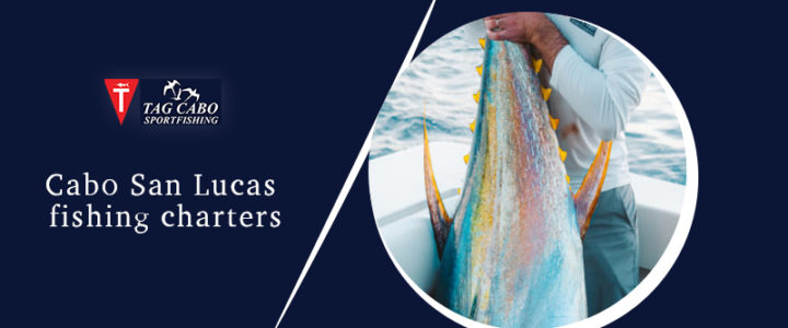 Things to keep in mind when selecting a fishing charter Things to keep in mind when selecting a fishing charter