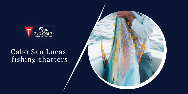 Things to keep in mind when selecting a fishing charter 28 Cabo fishing charters