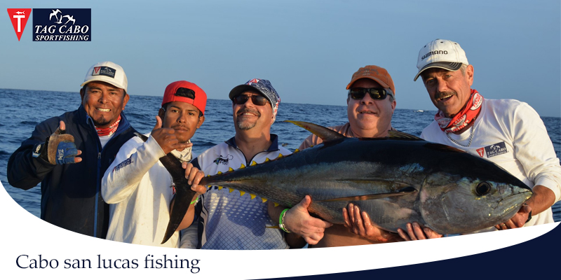 Everything You Need To Know About Marlin Fishing In Cabo 5 Everything You Need To Know About Marlin Fishing In Cabo