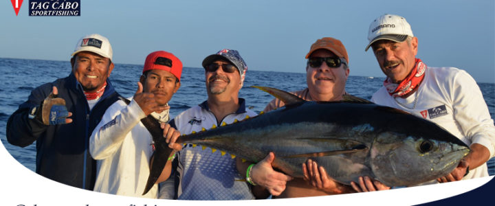 Everything You Need To Know About Marlin Fishing In Cabo Everything You Need To Know About Marlin Fishing In Cabo
