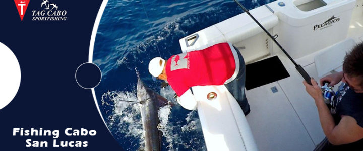 Explore the different types of sports fishing in Cabo San Lucas Explore the different types of sports fishing in Cabo San Lucas