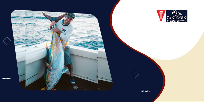 What are the Dos and Don'ts of Deep-Sea Fishing, Cabo? 4 https://staging.tagcabosportfishing.com/