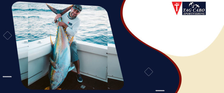 What are the Dos and Don’ts of Deep-Sea Fishing, Cabo? What are the Dos and Don’ts of Deep-Sea Fishing, Cabo?