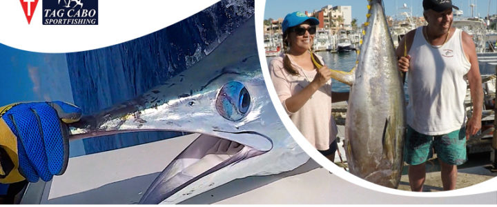 How Fishing Charter Make Deep-sea Fishing More Relaxing How Fishing Charter Make Deep-sea Fishing More Relaxing