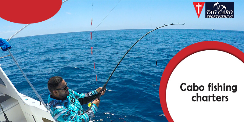 Occasions That are Perfect for Hiring A Luxury Fishing Charter in Cabo 3 Occasions That are Perfect for Hiring A Luxury Fishing Charter in Cabo