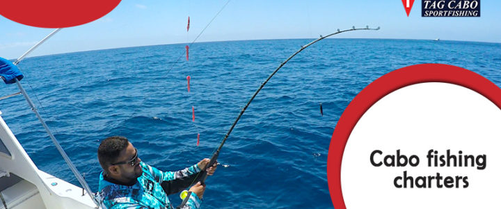 Occasions That are Perfect for Hiring A Luxury Fishing Charter in Cabo Occasions That are Perfect for Hiring A Luxury Fishing Charter in Cabo
