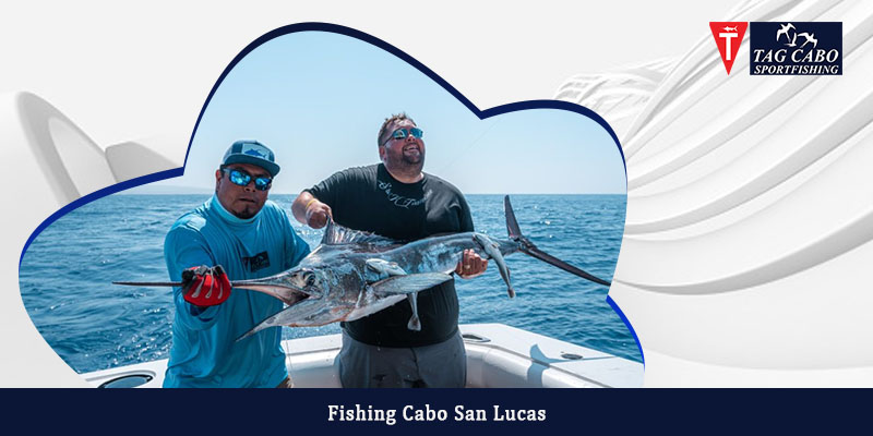 Marlin fishing in Cabo San lucas Marlin fishing in Cabo San lucas