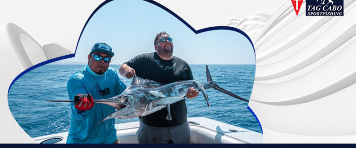 Top 5 Reasons Why You Should Go Fishing in Cabo San Lucas Top 5 Reasons Why You Should Go Fishing in Cabo San Lucas