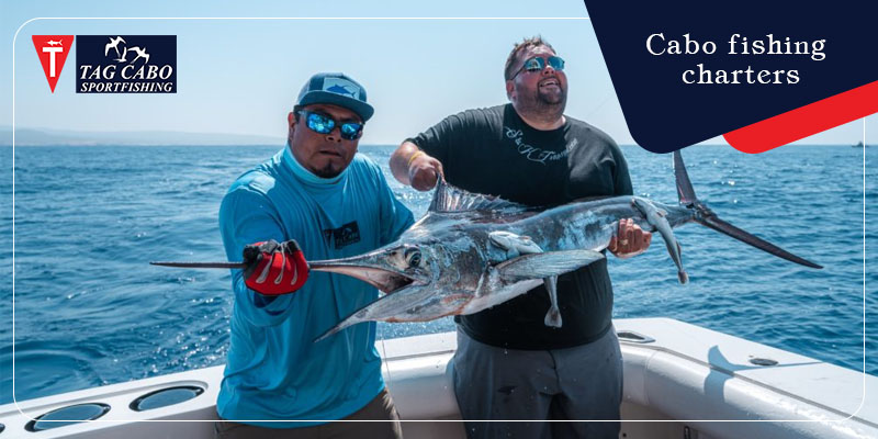 A comprehensive guide to choose Cabo Fish Charters 1 A comprehensive guide to choose Cabo Fish Charters