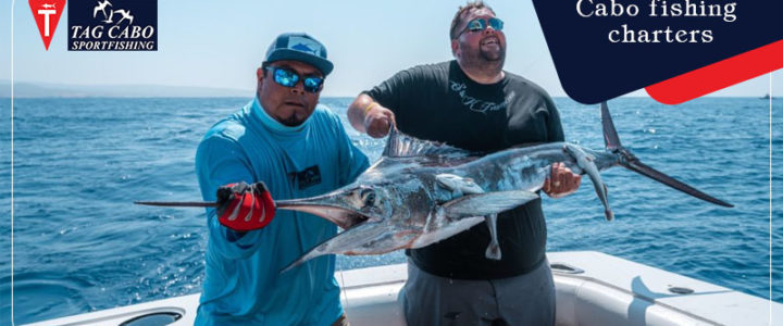 A comprehensive guide to choose Cabo Fish Charters A comprehensive guide to choose Cabo Fish Charters