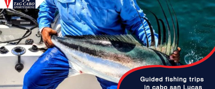 Why Guided Fishing Trips in Cabo San Lucas are the Best Why Guided Fishing Trips in Cabo San Lucas are the Best