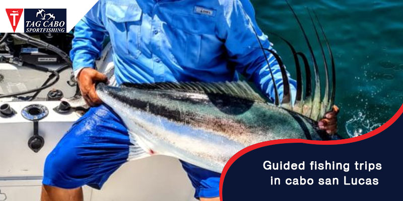 Why Guided Fishing Trips in Cabo San Lucas are the Best 9 Why Guided Fishing Trips in Cabo San Lucas are the Best