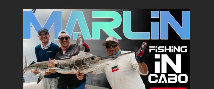 Deep dropping fishing in Cabo San Lucas Deep dropping fishing in Cabo San Lucas
