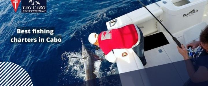 Does fishing help with mental health? Learn How! Does fishing help with mental health? Learn How!