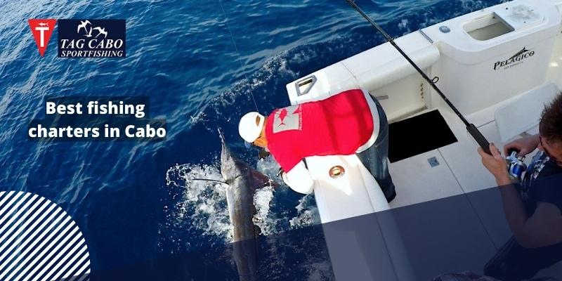 Does fishing help with mental health? Learn How! 7 Does fishing help with mental health? Learn How!