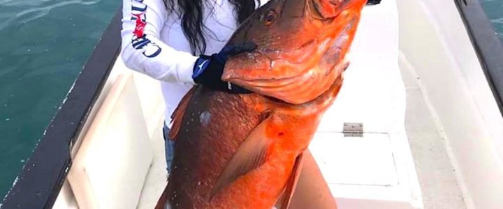 Cubera Snapper fishing in Cabo San Lucas Cubera Snapper fishing in Cabo San Lucas