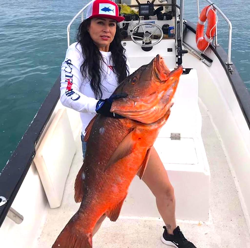 Cubera Snapper in Cabo San Lucas Cubera Snapper in Cabo San Lucas