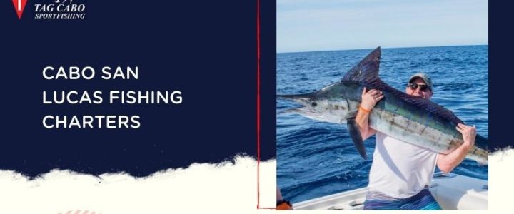 Cabo San Lucas Fishing in February Cabo San Lucas Fishing in February