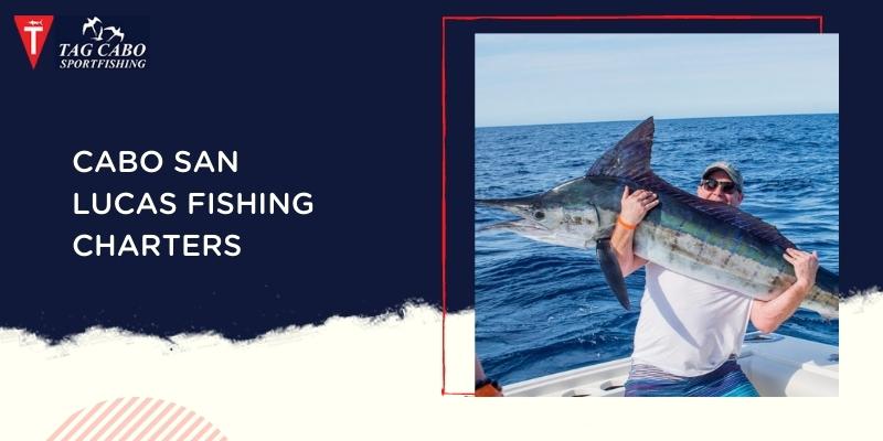 Cabo San Lucas Fishing in February 7 Cabo San Lucas Fishing in February