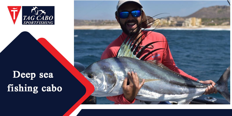 What Makes Cabo the Best Place for Deep Sea Fishing 4 What Makes Cabo the Best Place for Deep Sea Fishing