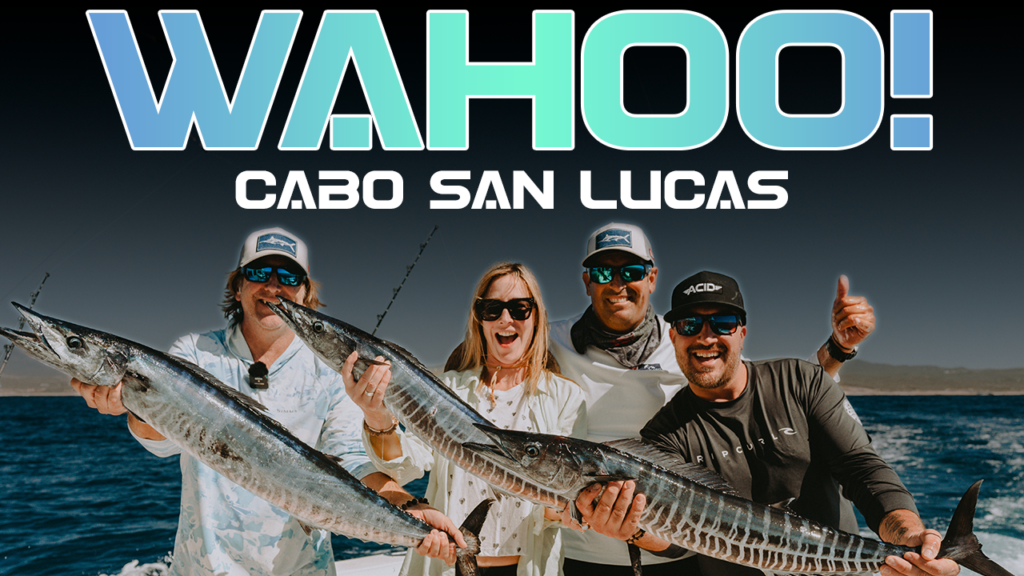 wahoo fishing in Cabo San LucasAs of October 15, 2020, the International Game Fish Association world record stood at 83.5 kg (184 lbs) with the fish caught in coastal waters off Cabo San Lucas, Baja California Sur, in July 2005. wahoo fishing in Cabo San LucasAs of October 15, 2020, the International Game Fish Association world record stood at 83.5 kg (184 lbs) with the fish caught in coastal waters off Cabo San Lucas, Baja California Sur, in July 2005.