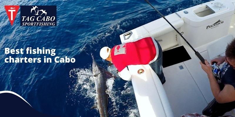 Understanding Fishing Rods Basics: Adventure with Fishing Charters 1 Understanding Fishing Rods Basics: Adventure with Fishing Charters