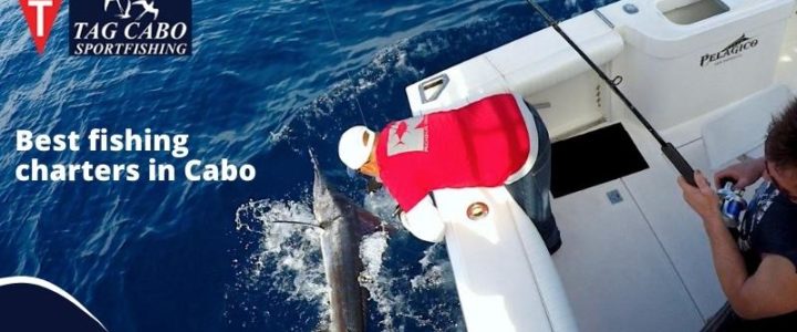 Understanding Fishing Rods Basics: Adventure with Fishing Charters Understanding Fishing Rods Basics: Adventure with Fishing Charters