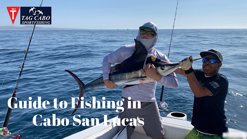 A Simple Guide to Fishing in Cabo San Lucas 2 A Simple Guide to Fishing in Cabo San Lucas