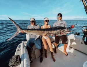 Striped marlin in cabo San Lucas Striped marlin in cabo San Lucas