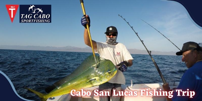 Plan a Great Cabo San Lucas Fishing Trip 1 Plan a Great Cabo San Lucas Fishing Trip