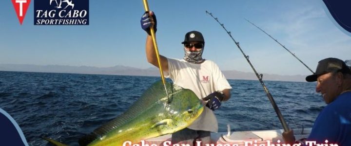 Plan a Great Cabo San Lucas Fishing Trip Plan a Great Cabo San Lucas Fishing Trip