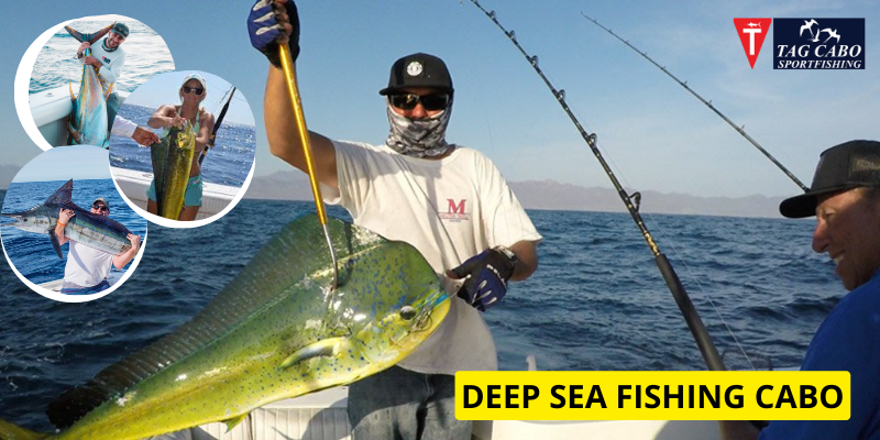 Deep-sea Fishing in Cabo – Blue Marlin 1 Deep-sea Fishing in Cabo – Blue Marlin