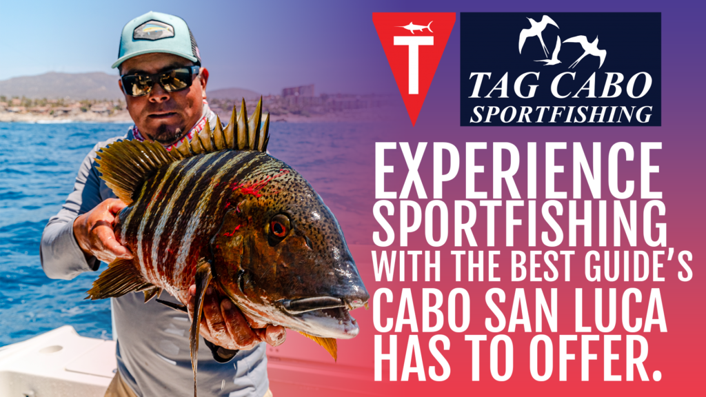 best fishing guides in Cabo San Lucas best fishing guides in Cabo San Lucas
