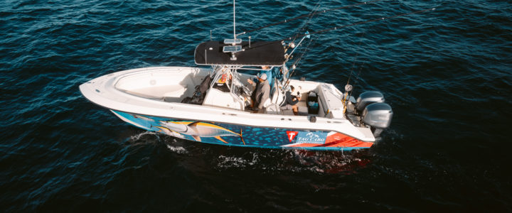 Grouper Fishing – The Best Bait & Place for Catching It Grouper Fishing – The Best Bait & Place for Catching It