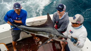 Advantages of a guided fishing trip on fishing charters 4 Cabo fishing guides