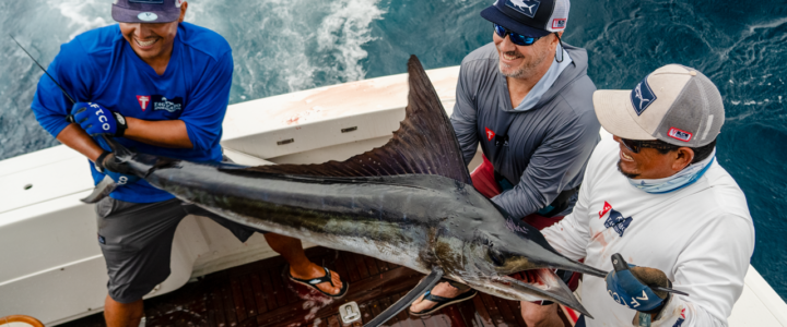 Advantages of a guided fishing trip on fishing charters Advantages of a guided fishing trip on fishing charters