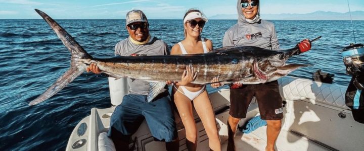 When is the best time to explore fishing in Cabo When is the best time to explore fishing in Cabo
