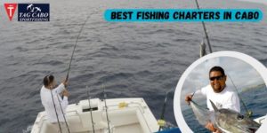Cabo Fishing Charters- Explore, Enjoy and Catch 5 Cabo Fishing Charters- Explore, Enjoy and Catch