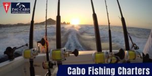 5 Tips for Choosing a Good Fishing Charter in Cabo San Lucas, Mexico 3 5 Tips for Choosing a Good Fishing Charter in Cabo San Lucas, Mexico