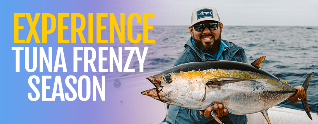 Mastering Water Temperatures on the SatFish App for Yellowfin Tuna Success in Cabo San Lucas Mastering Water Temperatures on the SatFish App for Yellowfin Tuna Success in Cabo San Lucas