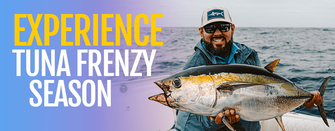 Cabo San Lucas fishing Calendar Cabo San Lucas fishing Calendar