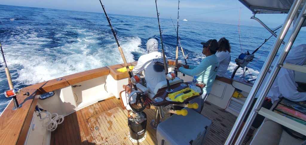 A Simple Guide to November Fishing in Cabo San Lucas A Simple Guide to November Fishing in Cabo San Lucas