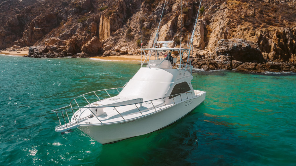 Fishing Charters are perfect for Deep Sea Fishing in Cabo Fishing Charters are perfect for Deep Sea Fishing in Cabo