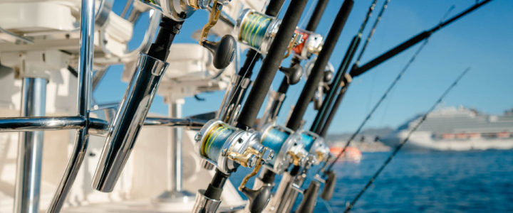 Fishing Charters are perfect for Deep Sea Fishing in Cabo Fishing Charters are perfect for Deep Sea Fishing in Cabo