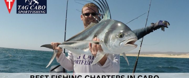 An Insider’s Guide To Choosing The Right Cabo San Lucas Fishing Charter An Insider’s Guide To Choosing The Right Cabo San Lucas Fishing Charter