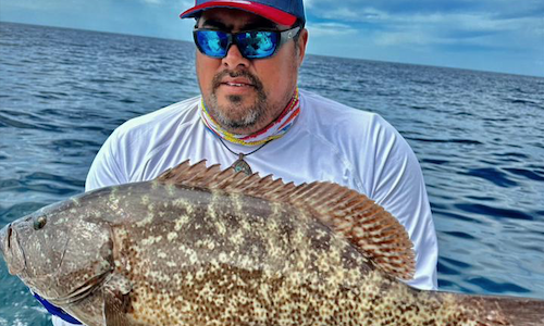 Using downriggers and transducers to catch groupers and snappers in Cabo San Lucas Using downriggers and transducers to catch groupers and snappers in Cabo San Lucas